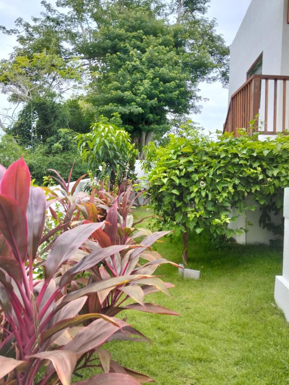 Chris - Stunning 4br With Ocean & Sunset View